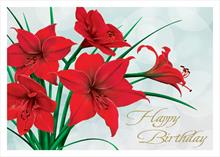 CB4153-Q<br>Birthday Amaryllis Flowers